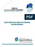 Cartilla - Guia Practica para Entidades Supervisadas - 2013-1 PDF