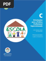 Caderno C - Orientaçõs Para a Prática Profissional Supervisionada