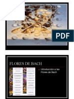 FLORES DE BACH.pdf