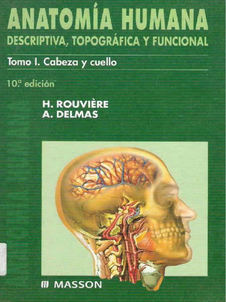 Anatomía de Rouviere Tomo 1 | PDF