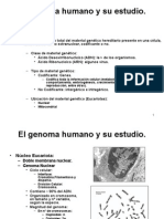 2 El Genoma Humano y Su Estudio.
