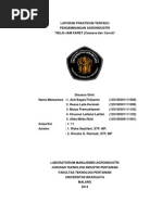 Download PEMBUATAN Jam Karet Jam Cassava Carrot by Khusnul Latifah SN258759920 doc pdf