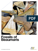 Beaumaris Fossil Book