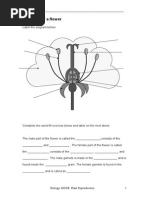 Plant Flower and Seed Worksheet | Seed | Fertilisation