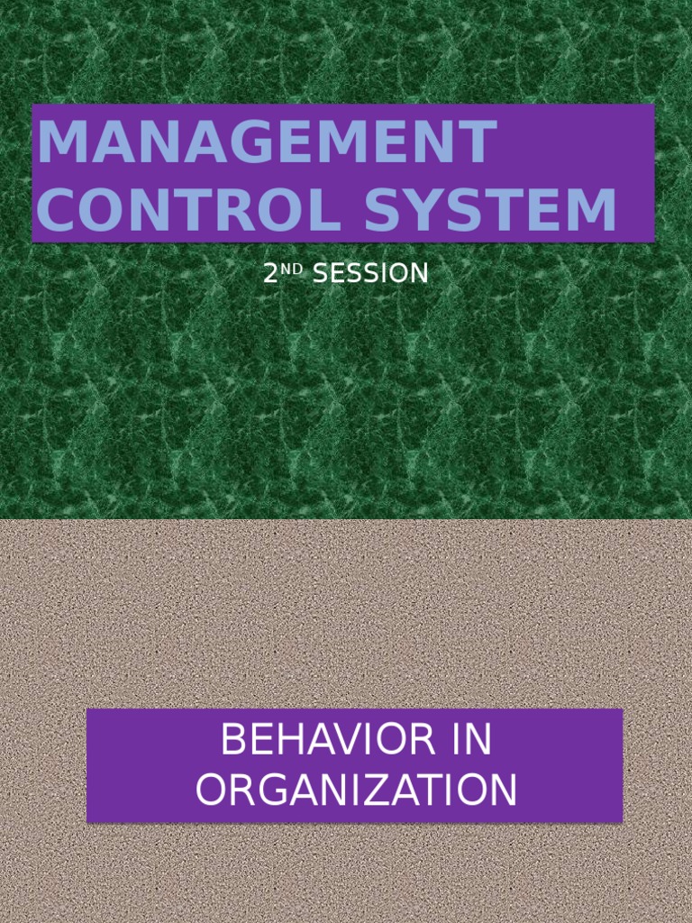 Management Control Systems Overview | PDF | Motivation | Motivational
