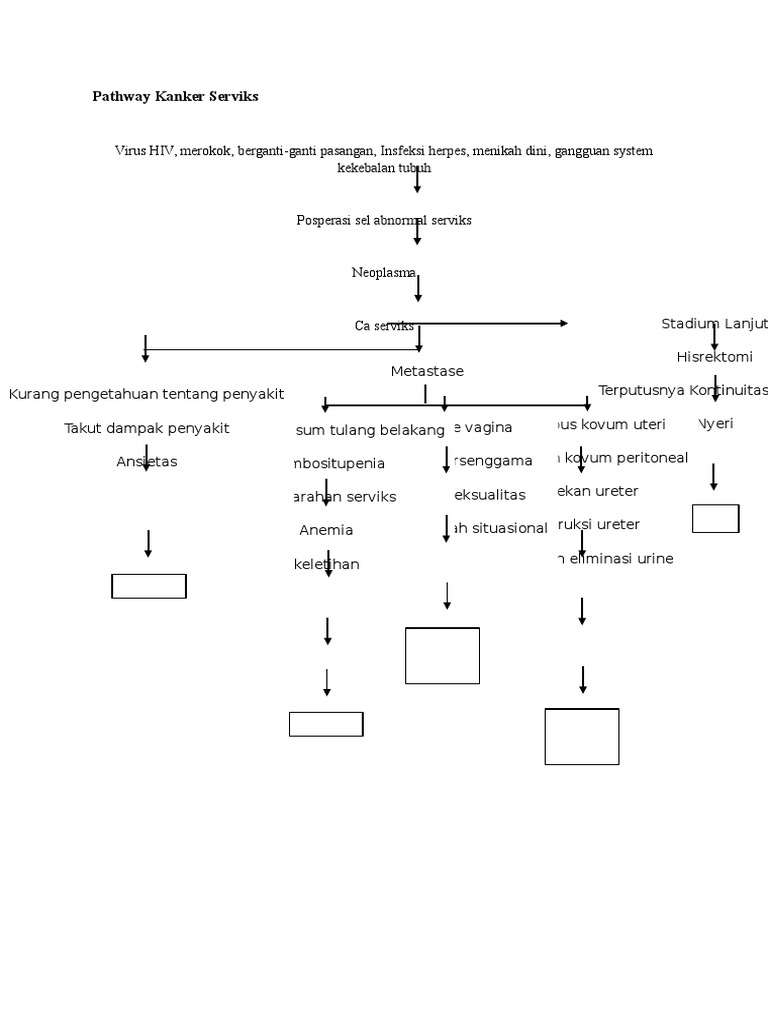 Pathway Kanker Servik - Drawing Edition
