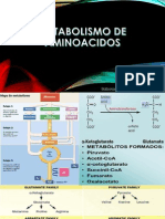 Metabolismo de Aminoacidos