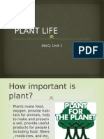 Existence of Plants