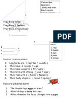 Ladybirds: Label The Parts