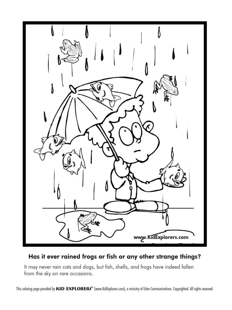 Has It Ever Rained Frogs or Fish or Any Other Strange Things? PDF