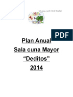 Plan Anual SC Mayor