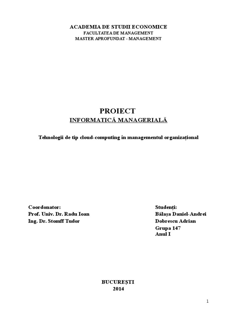 Proiect Informatica Manageriala | PDF