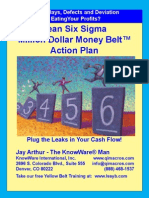 six-sigma-action-plan.pdf