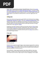 Download Kusta Lepra Penyakit Morbus Hansen Penyakit Hansen by silviairani SN25883212 doc pdf