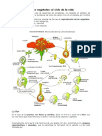 Guia N_1_Evolución Floral y Frutos