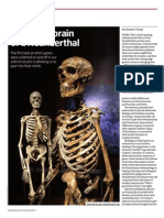 Inside the Brain of Neanderthal