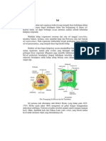 Baca Selengkapnya Tentang Sel Di Sini PDF