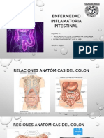 Enfermedad Inflamatoria Intestinal