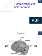 Cortical Organization and Simple Networks