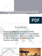 Tropical Savanna PDF