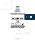 Topicos de Calculos