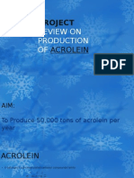 Project Review On Production of Acrolein 2