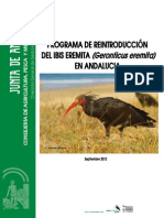 Programa reintroducción ibis eremita Andalucía