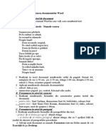 Fișă de Lucru - Formatarea Unui Document Word