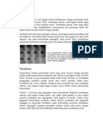 Angiography Lower GI