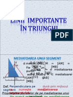 Linii Importante in Triunghi-Recapitulare