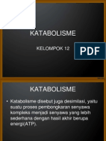 KATABOLISME