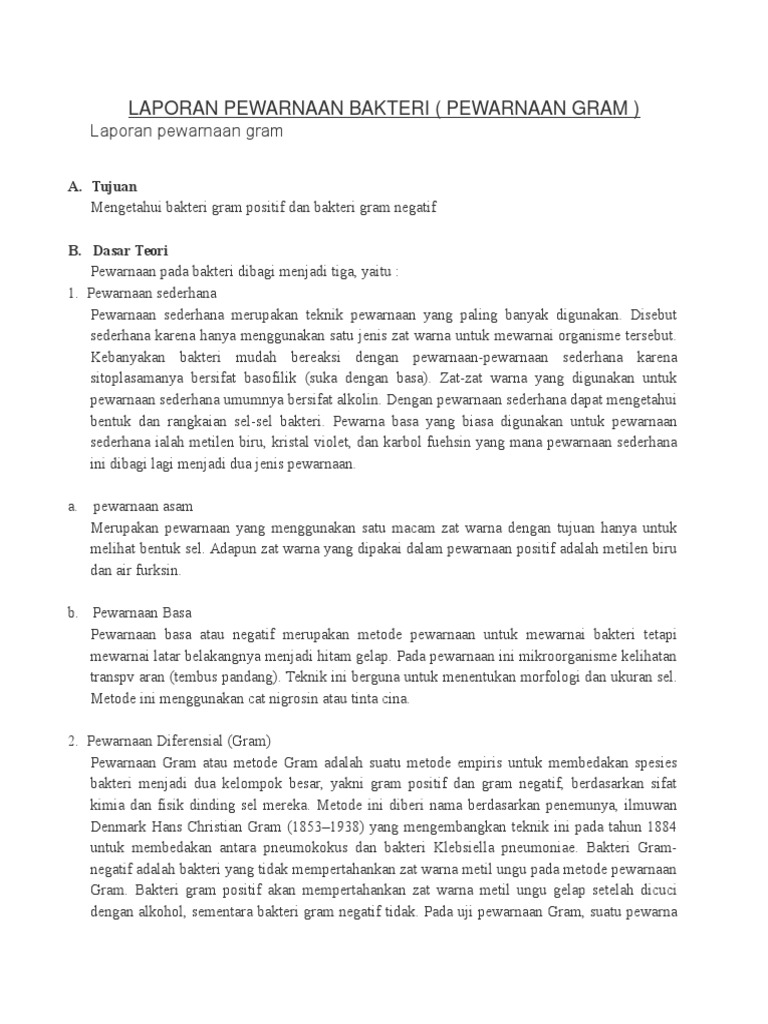 Laporan Pewarnaan Bakteri | PDF