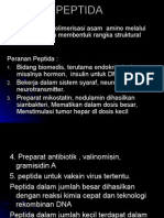 Peranan dan Struktur Peptida