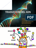 Traducción Del ADN
