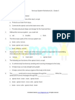 Nervous System Worksheet Grade 5