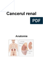 cancere_urologice