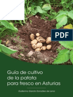 Guía de Cultivo de La Patata para Fresco en Asturias