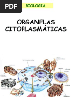 ORGANELAS CITOPLASMÁTICAS