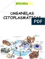 Organelas Citoplasmáticas