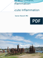 Acute and Chronic Inflammation 1 - Acute Inflammation