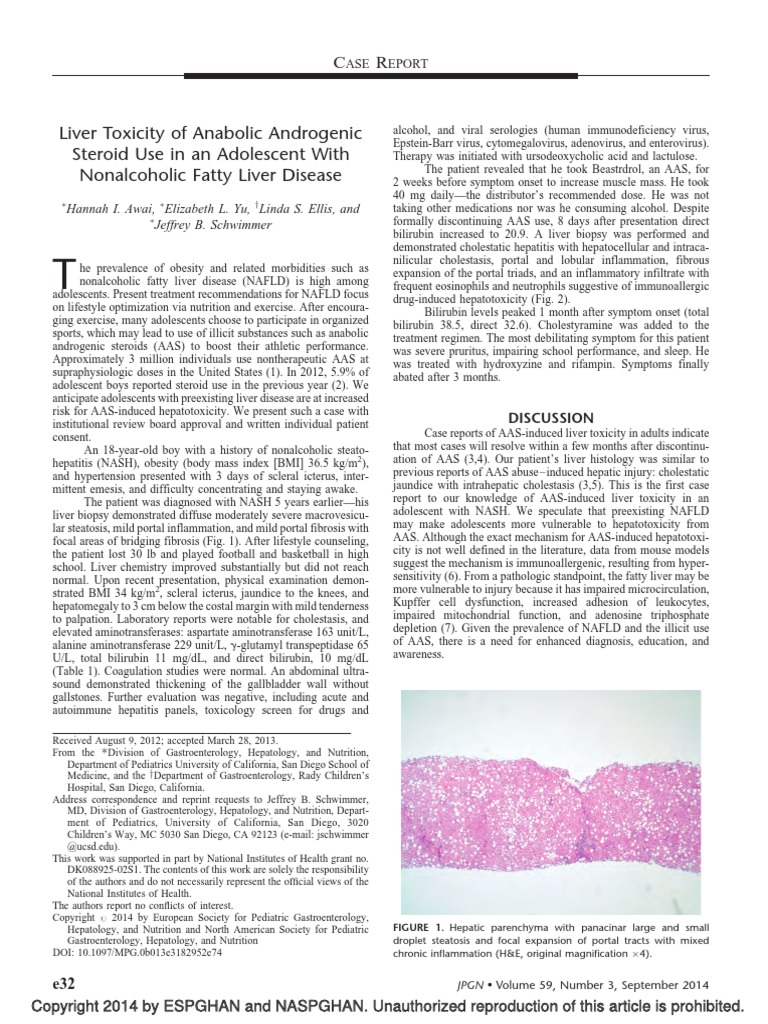 Liver Toxicity of Anabolic Androgenic Steroid Use in an Adolescent With