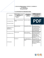 1 Matriz de Diagnostico Organizacional Jhon Mogollon