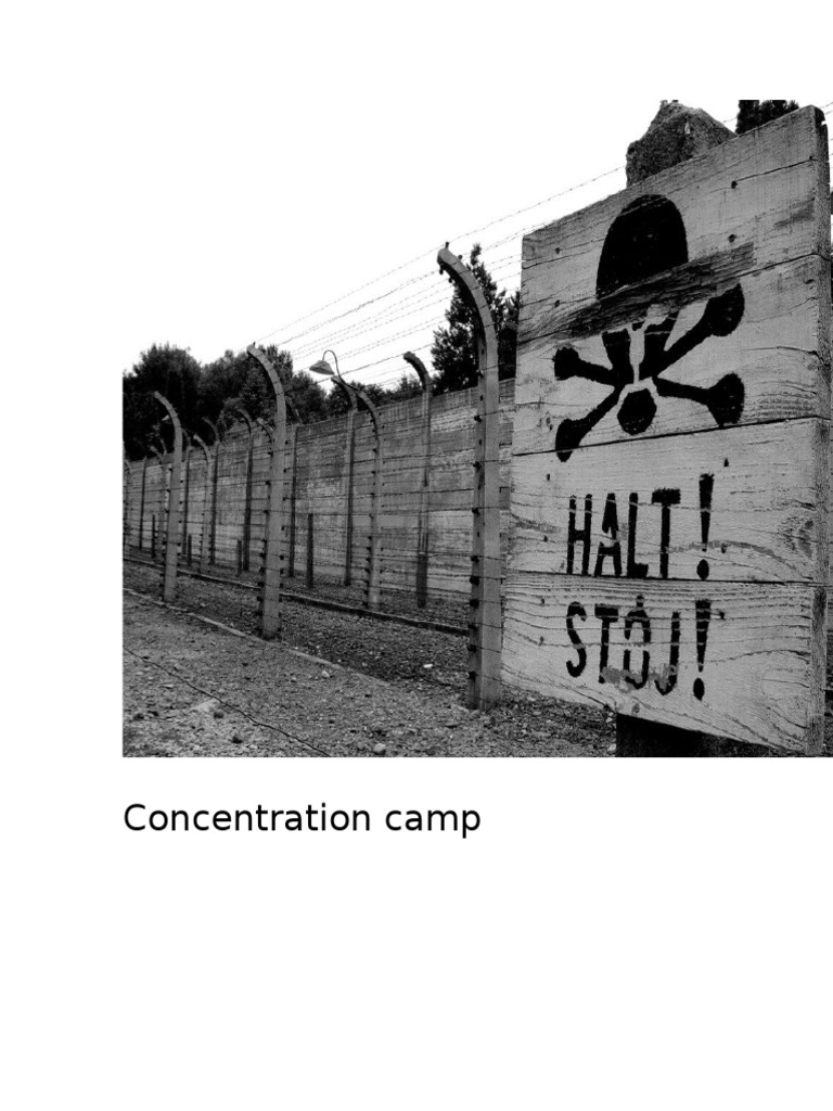 Key Terms of the Holocaust | PDF