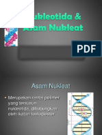 Asam Nukleat PDF