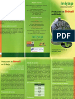 PRODUCCION DE BROCOLI.pdf