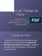 Fisiología Del Trabajo de Parto (NXPowerLite)