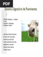 seminario_ruminantes