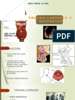 Trauma laríngeo y esofágico