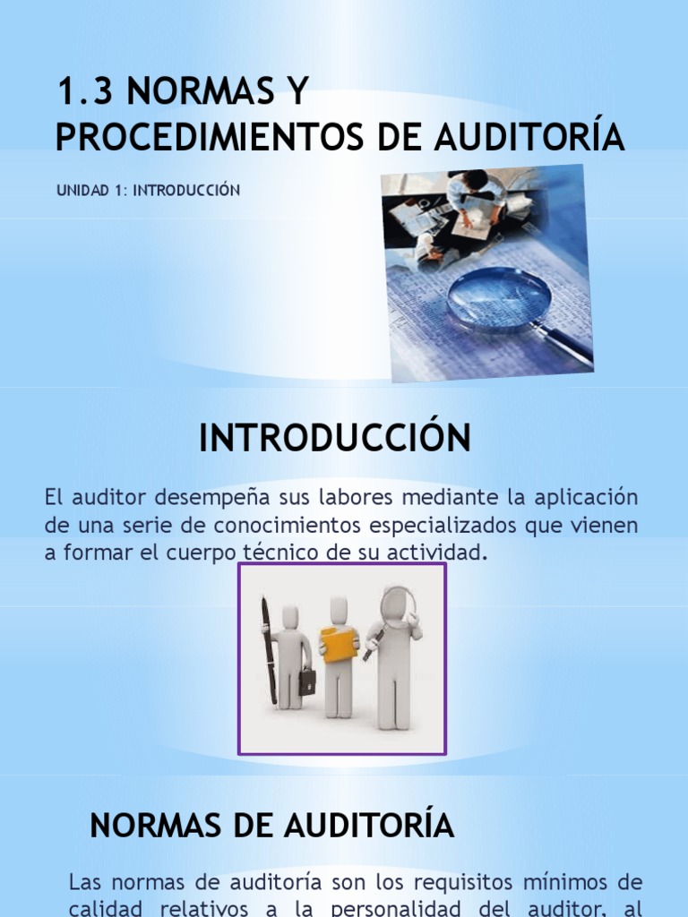 Normas y Procedimientos de Auditoría | PDF