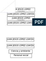 Jesus Lopez Loayza
